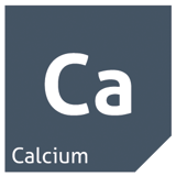 Calcium Icon