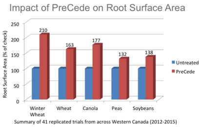 Impact_Preceded_on_roots