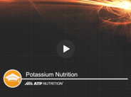 Potassium NK Thumbnail