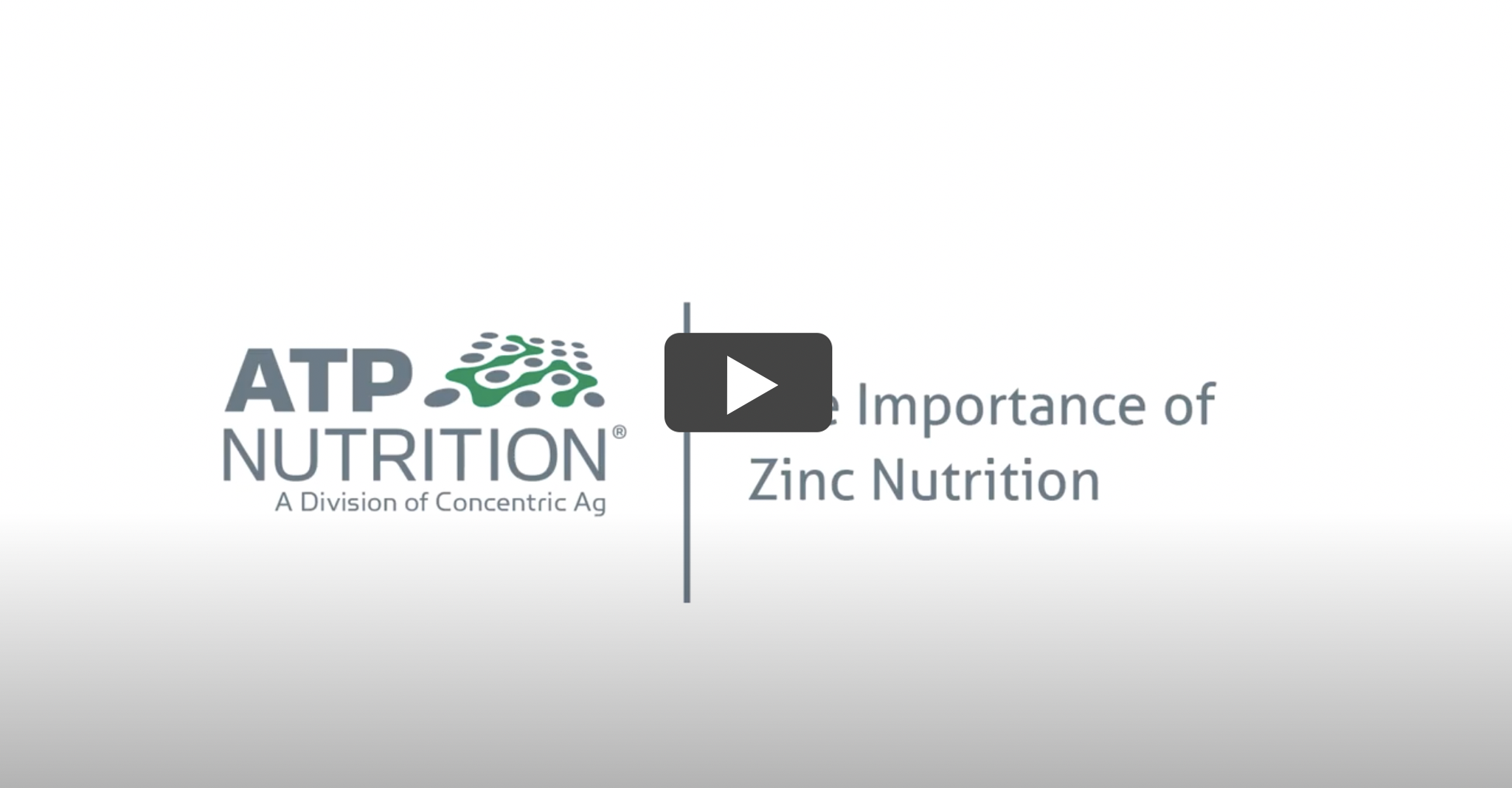 Boost Yield and Crop Quality with Zinc